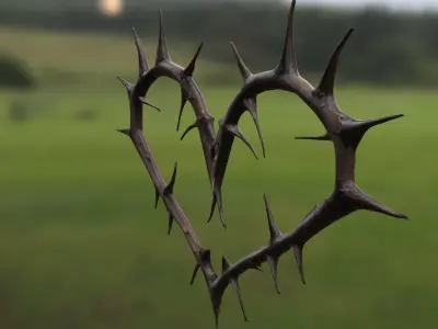 Thorned Heart  Low-poly 3D model