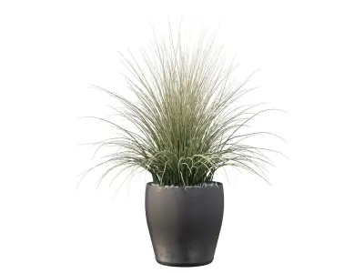 Grass artificial plant in pot 3D model