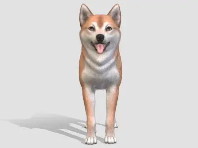 Dog - Shiba Inu Low-poly 3D model