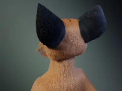 Hassun Anthro Fox 3D model