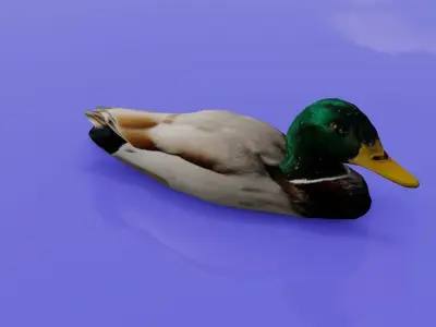 Duck 3D model Low-poly 3D model