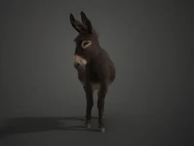 Donkey Winter with 4 Animations  VFX Grace 3D model