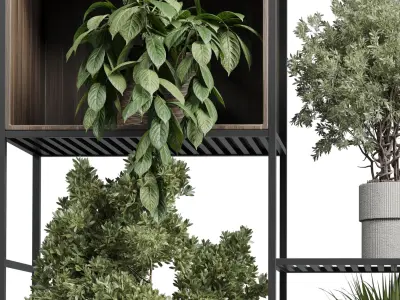 Standing metal shelf with a set of plants in wooden Low-poly 3D model