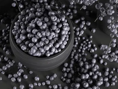 Decorative bouquet blueberry tree in Pots for the interior 547 3D model