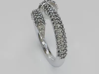 ring WR 731 3D print model