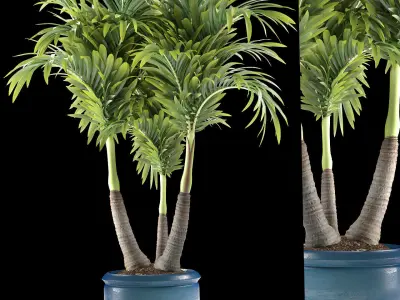 palm plant 148 3D model