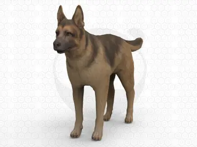 6 Dog Pack - Rigged Low-poly 3D model