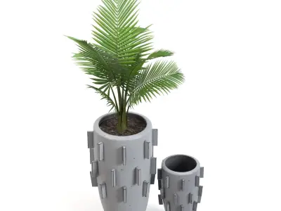 Areca Palm Ari Planter  PBR 3D model