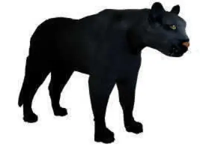 Panther Black Free low-poly 3D model
