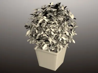 Plant In Pot 01 3D model
