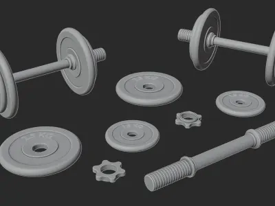 Gym Weights Set - Dumbbells Set Low-poly 3D model
