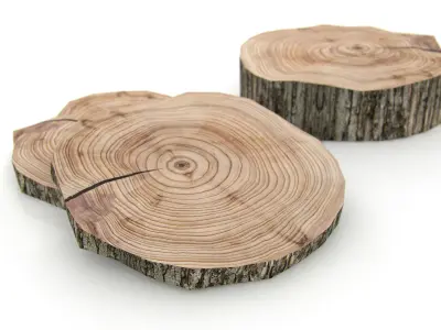 Wooden Stump Free low-poly 3D model