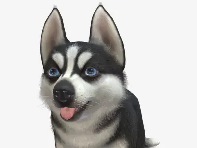Puppy - Husky Low-poly 3D model