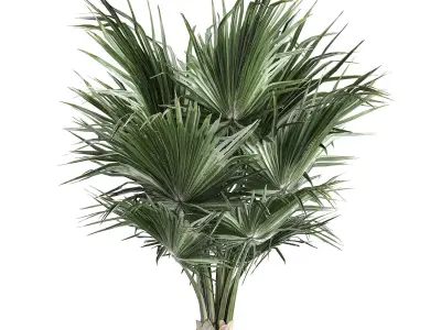 Decorative palm in a Vig Planter flowerpot 837 3D model