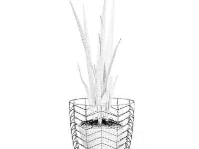 Snake Plant 3D Model in White Pot 3D model