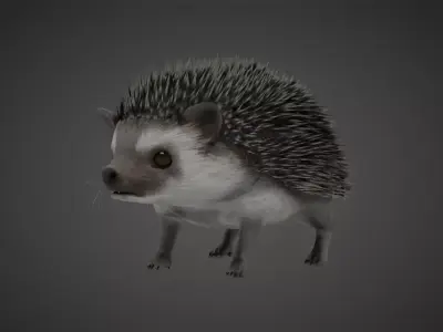 Hedgehog Stylized Brown 3D Character Low-poly 3D model
