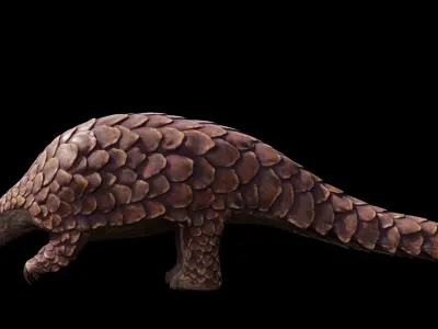 Pangolin Rigged Low-poly 3D model