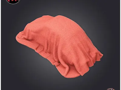 Car Cover Beetle 3D print model