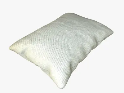 Fabric Pillow Cushion 3D model