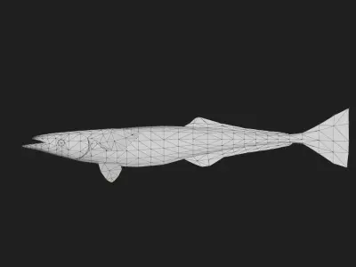 Suckerfish Low-poly 3D model