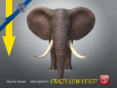 Elephant maleA T-pose Low-poly 3D model