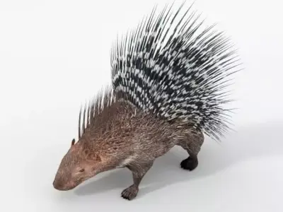 Porcupine chair Low-poly 3D model