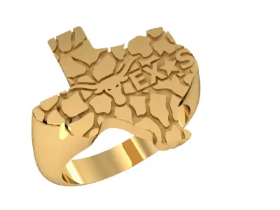 Texas ring 3D print model