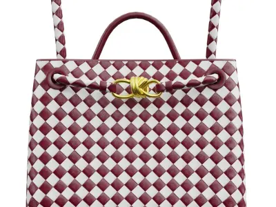 Veneta Medium Andiamo Bag Low-poly 3D model