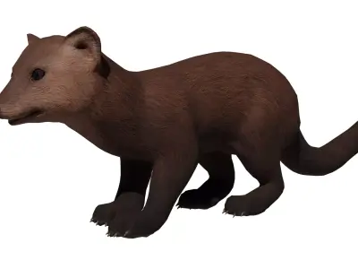 Marten  Low-poly 3D model