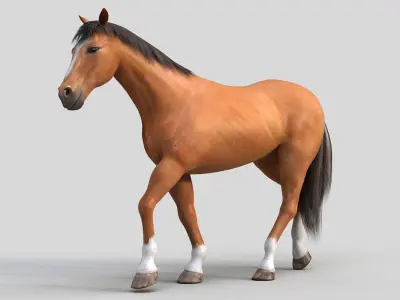 Horse PRO - Brown 3D model