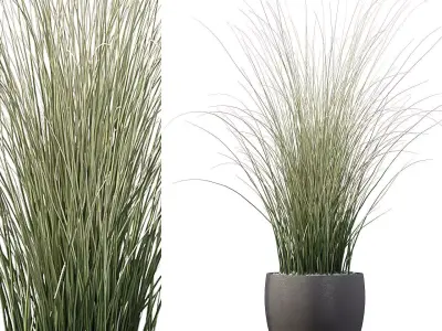 Grass artificial plant in vase 3D model