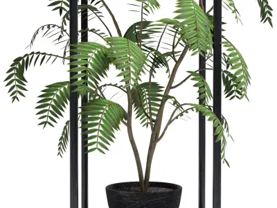 plant Collection 02 3D model