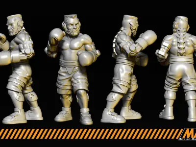 Boxers 3D print model