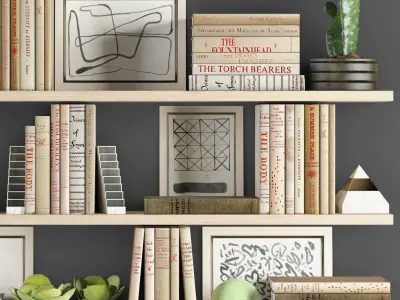 Decoration set bookshelves with cactus and plants 3D model