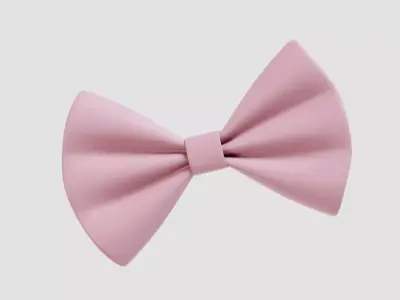 Pink bow 3d model Low-poly 3D model