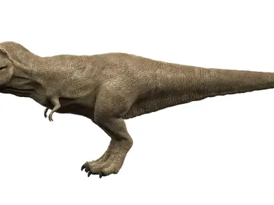 Tyrannosaurus rex 3D model 3D model