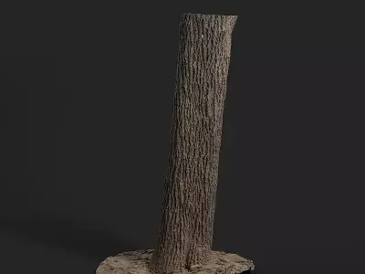 Apricot tree 001 3D model