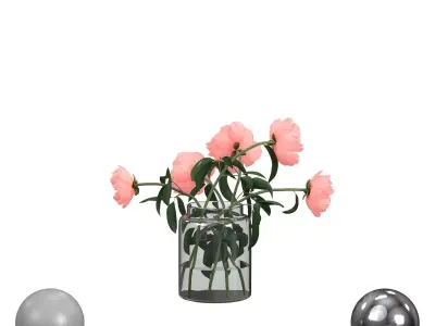 Light pink peonies  3D model