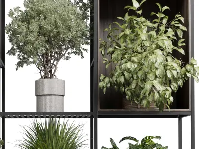 Standing metal shelf with a set of plants in wooden Low-poly 3D model