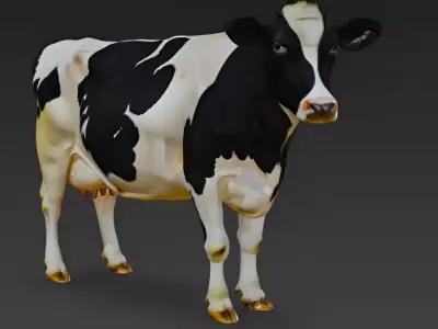 Holstein Cow 3D Model 3D model