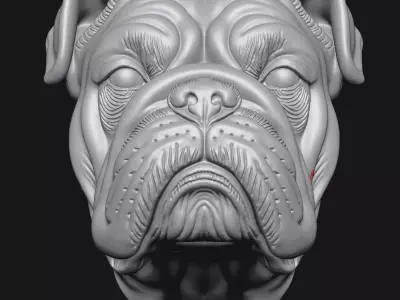 Bulldog 3D print model