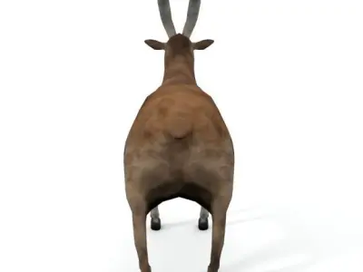Goat Mammal Low-poly 3D model