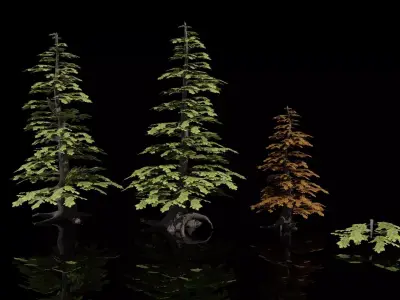 Tree Collection 1 - 3 trees - 2 colors Free low-poly 3D model
