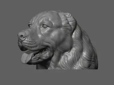 Central Asian Shepherd Dog Alabai bust 3D print model