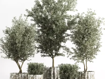 indoor plant stant 43 Low-poly 3D model