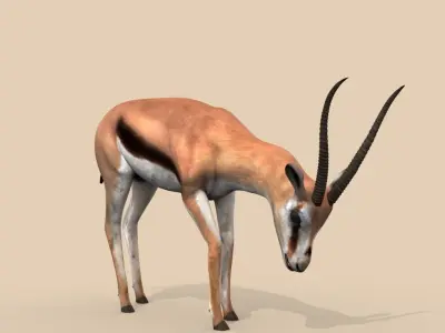 PRO Gazelle Low-poly 3D model