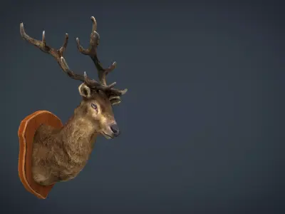 DEER TROPHY Low-poly 3D model