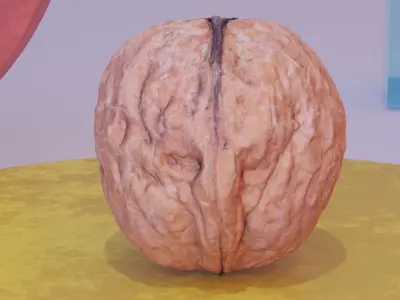 Walnut fruit 01 high-poly 3D model