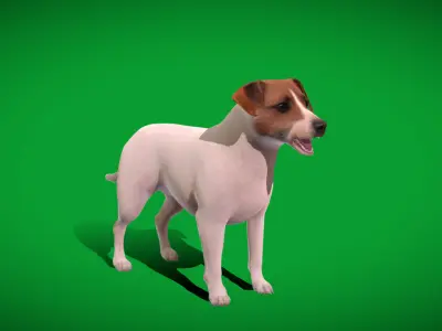 Jack Russell Terrier Dog Low-poly 3D model