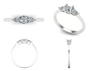 Ring ri254 3D print model